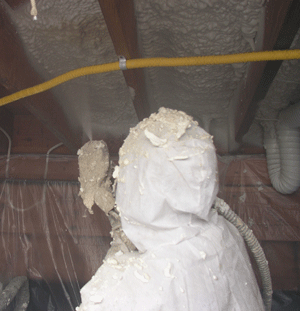 Hialeah FL crawl space insulation